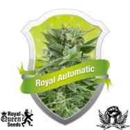 Royal Queen Seeds Royal Automatic